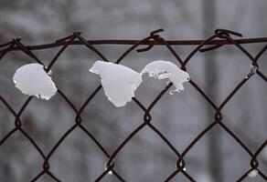 snö bitar hängande på en tråd staket i vinter. texturerad fluffig snö smältande under vinter- Sol på en metall staket. foto