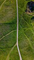 antenn se av de promenad väg i Flamborough, England foto