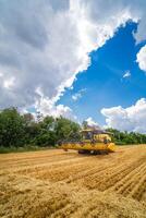gul kombinera tröskor arbetssätt på fält. jordbruks maskin på blå himmel. foto