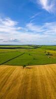 antenn se av frodig grön jordbruksmark med klar blå himmel och stripig moln. foto