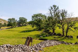 idyllisk lantlig landskap med frodig grön träd, sten vägg lämningar, och rullande kullar under en klar blå himmel. foto