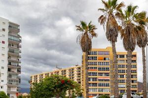 urban landskap med handflatan träd och lägenhet byggnader under en molnig himmel i los cristianos, teneriffa. foto