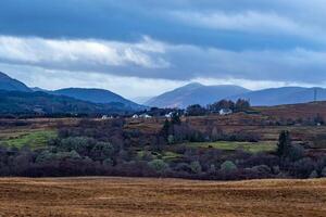 lantlig landskap med rullande kullar, spridd träd, och avlägsen bergen under en molnig himmel i Skottland. foto