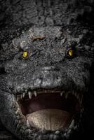ett arg ser krokodil med lysande ögon i de mörk foto