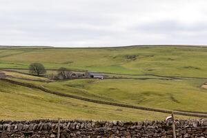 rullande grön kullar med sten staket och en bondgård i de engelsk landsbygden i topp distrikt, england. foto