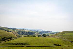 lugn rullande kullar med frodig grön fält under en klar himmel, skildrar lugn lantlig landskap. foto