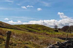 rullande grön kullar under en blå himmel med fluffig moln, terar en sten vägg och trä- staket posta i de förgrund i yorkshire dalar. foto