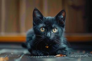 ai genererad gåtfull svart katt på de jord, genomträngande gul ögon fängsla tittare foto