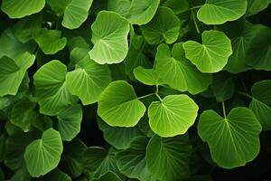 ai genererad lummig upprepning grön löv bakgrund i en visuellt behaglig arrangemang foto