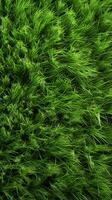 ai genererad mångsidig grön bakgrund abstrakt topp se av texturerad gräs bakgrund vertikal mobil tapet foto