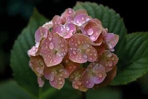 ai genererad hortensia - Asien - känd för deras stor, prålig blooms och förmåga till förändra Färg baserad på jord aciditet. de är en symbol av tacksamhet och innerlig känsla foto