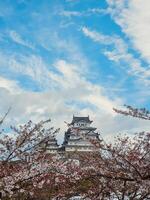 solig vår dag över himeji slott, japan foto