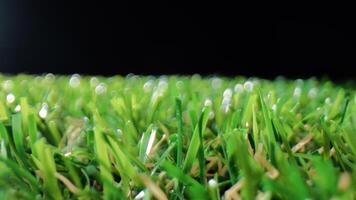 gräs av en fotboll kasta foto