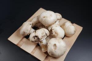 färsk champignons svamp i en vit skål på tabell foto