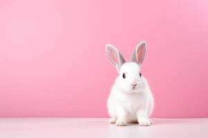 ai genererad vit fluffig kanin på rosa bakgrund foto