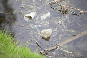plast flaskor i de damm. miljö- förorening foto