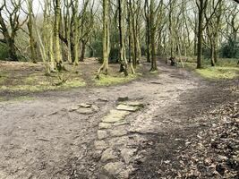 en se av de cheshire landsbygden på peckforton foto