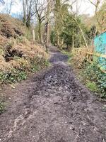 en se av de cheshire landsbygden på peckforton foto