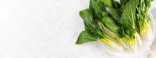 organisk och färsk bok choy eller pak choi eller pok choi.brassica rapa. grönsaker foto