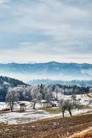 vinter- landskap av fält med bergen foto