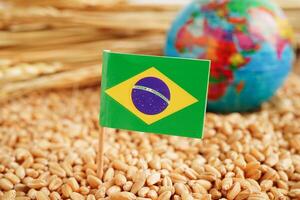 Brasilien flagga på spannmål vete, handel exportera och ekonomi begrepp. foto