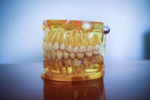 gul artificiell modell av de käke på de tabell. dental protes. tand tallrik. dental modell medicinsk objekt för undervisning studerande i dental vård skola foto
