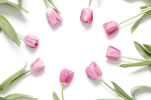 blommig bakgrund med tulpaner blommor på vit bakgrund. platt lägga, topp se. härlig hälsning kort med tulpaner för mödrar dag, bröllop eller Lycklig händelse foto