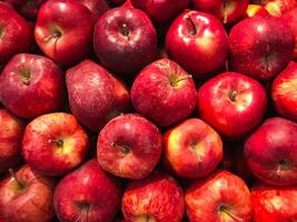 de stor stock av äpplen är tillräckligt för många människor till konsumera färsk ser frukt foto