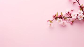 ai genererad skön körsbär blomma gren ram på en minimalistisk ljus rosa bakgrund med stor copy område foto