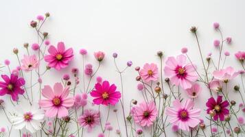ai genererad design av rosa och vit blommor gräns på en vit bakgrund foto