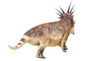 styracosaurus dinosaurie på isolerat bakgrund foto