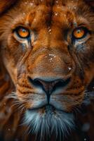 ai genererad porträtt av en lejonets munkorg i närbild. de lejonets huvud foto
