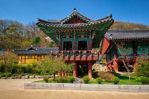 sinheungsa tempel i seoraksan nationell parkera, seoraksan, söder korea foto