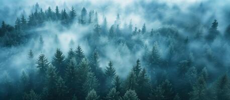 ai genererad mystisk skog i de dimma bakgrund. antenn perspektiv se. foto