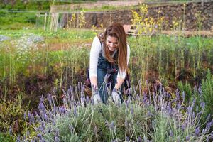 Lycklig latin jordbrukare arbetssätt i trädgård skärande lavendel- blomma - bruka människor livsstil begrepp foto