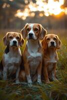 ai genererad porträtt av en beagle hund i sommar på en grön gräsmatta foto