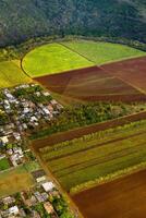 se från de höjd av de sådd fält belägen på de ö av mauritius foto