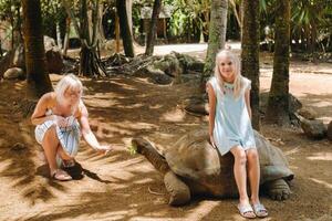 de flicka är Sammanträde på en sköldpadda. familj matar jätte sköldpadda på mauritius ö Zoo foto