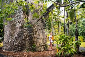 en flicka Nästa till en baobab i de botanisk trädgård på de ö av mauritius foto