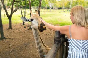 en flicka matar en skön giraff i de mauritius kasela parkera foto