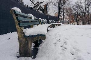 snö täckt parkera bänkar bred skott foto