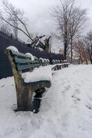 snö täckt parkera bänkar lång skott foto