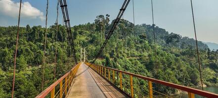 spänningsfull bro över grön dal äventyr bakgrund foto