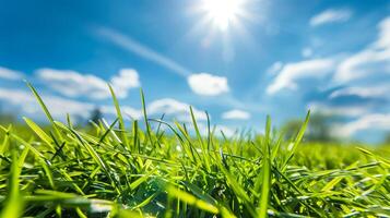ai genererad stänga upp av vibrerande grön gräs med en klar blå himmel och strålnings solsken, symboliserar sommar dagar eller miljö- bevarande foto