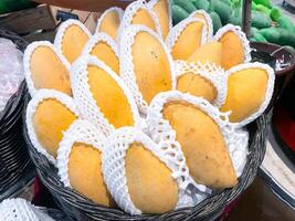 många färsk gul mogen mango för försäljning i de mataffär. foto