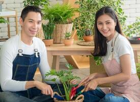 porträtt trädgårdsmästare ung asiatisk man kvinna två person sitta golv och leende ser hand innehav hjälp dekorera träd blad grön i lugna arbete affär Hem växt vit vägg. hobby jobb Lycklig och vård begrepp foto