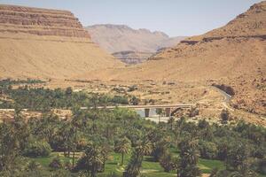 bred se av kultiverad fält och palmer i errachidia marocko norr afrika afrika, djup blå himmel foto