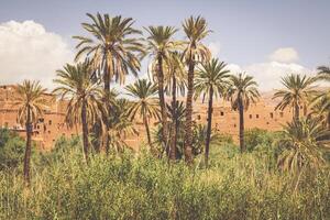Tinerhir by nära georges Todra på marocko foto