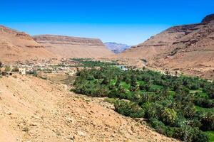 bred se av kultiverad fält och palmer i errachidia marocko norr afrika afrika, djup blå himmel foto