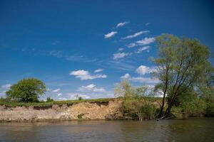 skön landskap på de flod Bank med blå himmel och träd foto